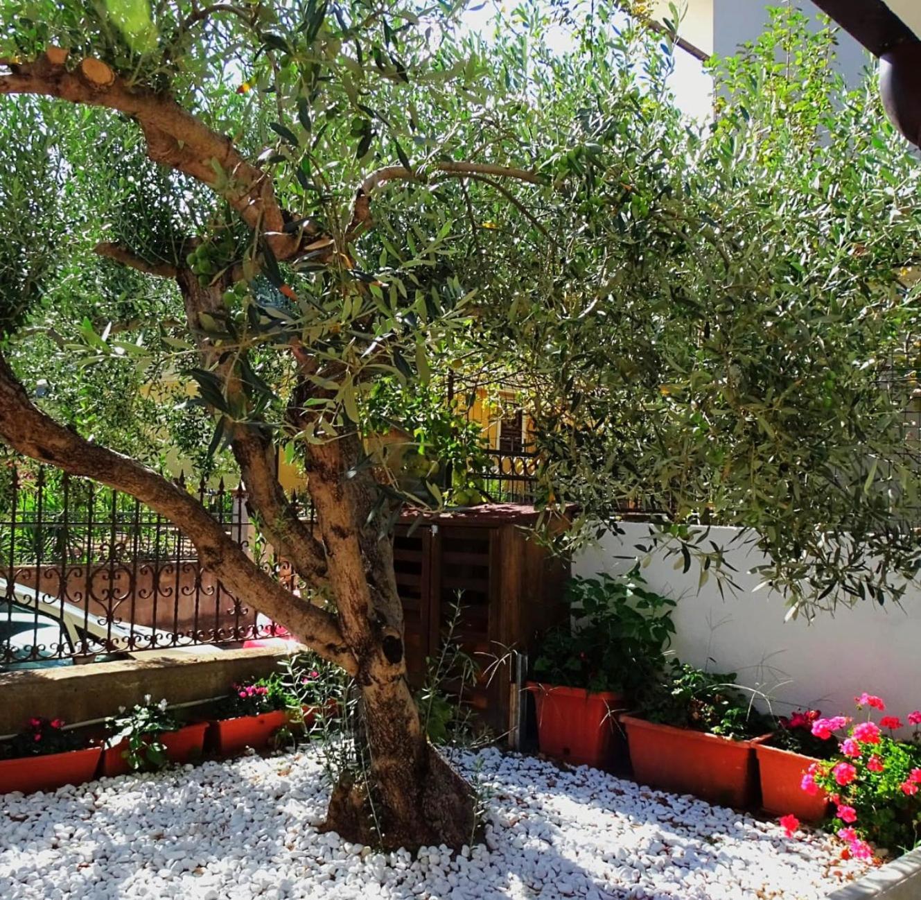 Le Sorgenti Guest House Ilbono Exterior photo